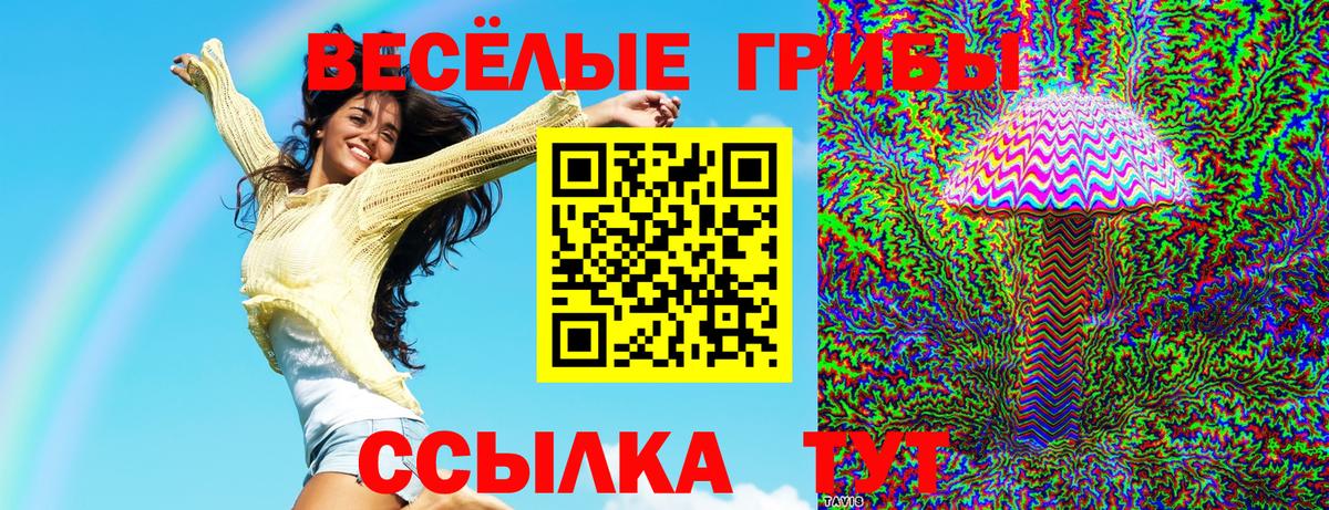 Псилоцибиновые грибы Psilocybine cubensis  Вход с VPN  Псилоцибиновые грибы ЛСД  Острогожск 
